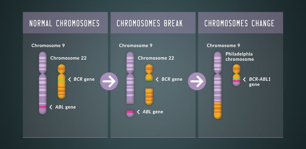 The change of chromosomes in the body